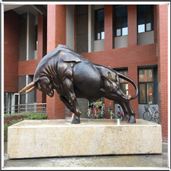 公司拓荒牛 公司拓荒牛