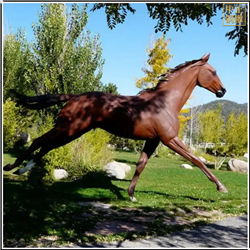 奔跑銅馬雕塑定制 奔跑銅馬雕塑定制